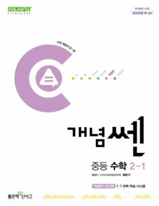 개념쎈 2-1 답지